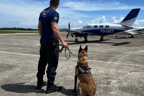 An operative with a dog looking at a small aircraft.